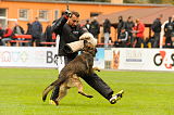 Flash vom Saltztalblick