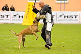 Mecberger Lassie