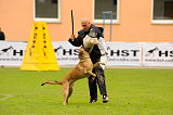 Mecberger Lassie