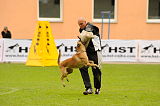 Mecberger Lassie