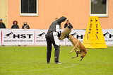 Mecberger Lassie