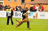 Mecberger Lassie