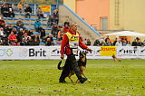 Oliver Val-bella-dog