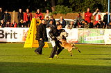 Fox von der schoenen Ecke