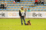 Ray vom Roten Milan
