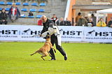 Ray vom Roten Milan