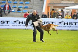 Ray vom Roten Milan
