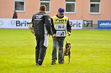 Ray vom Roten Milan