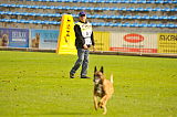 Ray vom Roten Milan