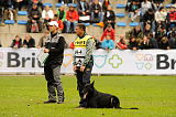 Aron vom Leiner Kogele