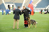 WUSV WM 2013 Siegerehrung
