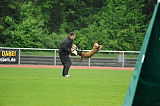 M´Fly