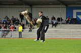 Drago-Balou met Leewenmoed