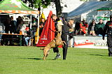 Condor von der Stoapfalz