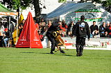 Condor von der Stoapfalz