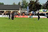 Condor von der Stoapfalz