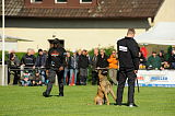 Condor von der Stoapfalz