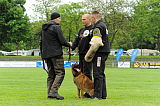 Beau von der Wesenberger Blutbuche