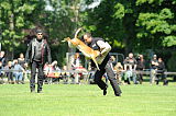 Page vom Further Moor