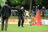 Hombre vom Parchimer Land