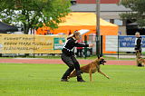 Zito vom Greifenring