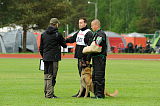Alan Edin Dvor