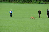 Räty vom Further Moor