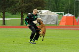 Tammikallion Lucky Luke