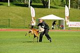Ager Veranis K9 Dog Center
