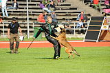 Ager Veranis K9 Dog Center