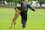 Enck vom Hause Ripp