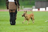 Mecberger Lassie