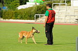 Drago de Coes'i