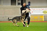 Amager’s Rofus