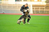 Estrellest Hurmuri Hundiin