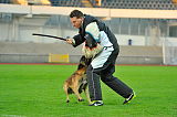 Malimaniac´s Action