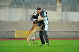 Malimaniac´s Action