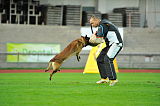 Malimaniac´s Action