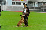 Mecberger Lassie