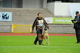 Mecberger Lassie