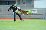 Mecberger Lassie