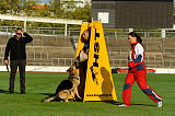 Abc Drift`s Asta Axxe Datter