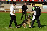 Falko von Guillannes