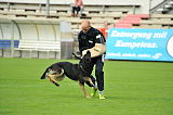 Quint von Walshagen