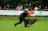 Aric vom wilden Klee