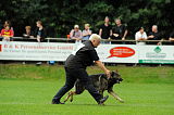 Aric vom wilden Klee