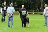 Aric vom wilden Klee