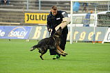 Chicco von Herrenhaus Werder