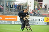 Chicco von Herrenhaus Werder