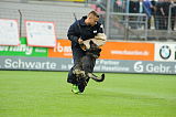 Chicco von Herrenhaus Werder
